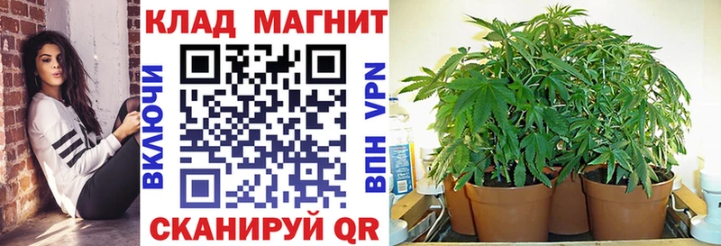 Названия наркотиков Дубовка Псилоцибиновые грибы  Каннабис  Alpha PVP  Героин  МЕФ  КОКАИН  Кодеин  ГАШИШ 