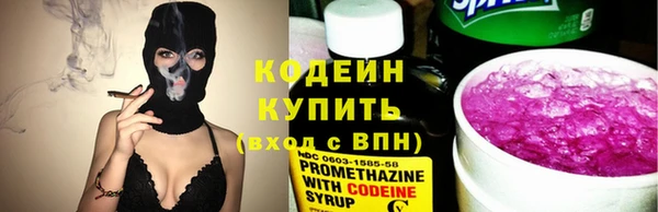 гидра Надым
