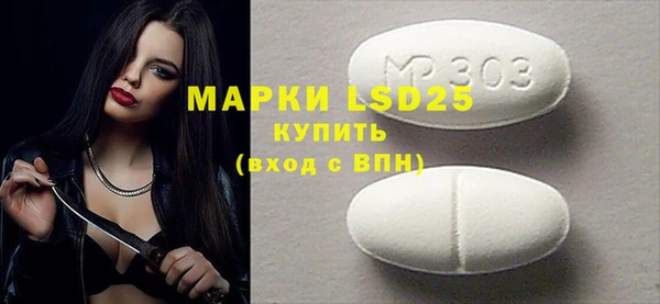 гидра Надым