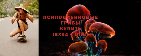 PSILOCYBIN Зеленокумск