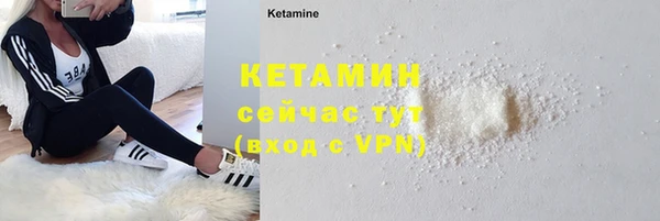 гидра Надым