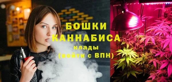 гидра Надым