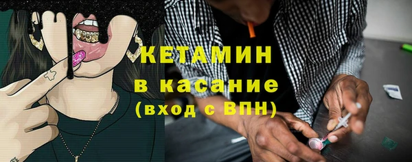 гидра Надым