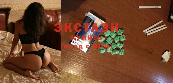 гидра Надым