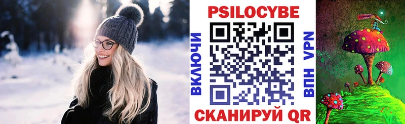 закладки  Дубовка  Галлюциногенные грибы Psilocybe 